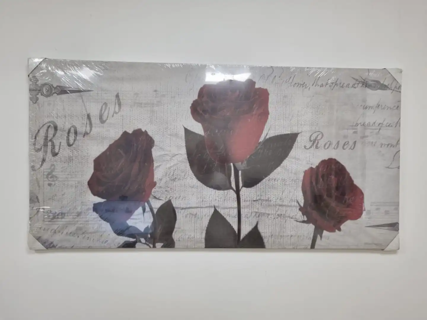 Lupia Quadro su Tela Canvas Deep 62x115 cm Roses Dipinto Made in Italy