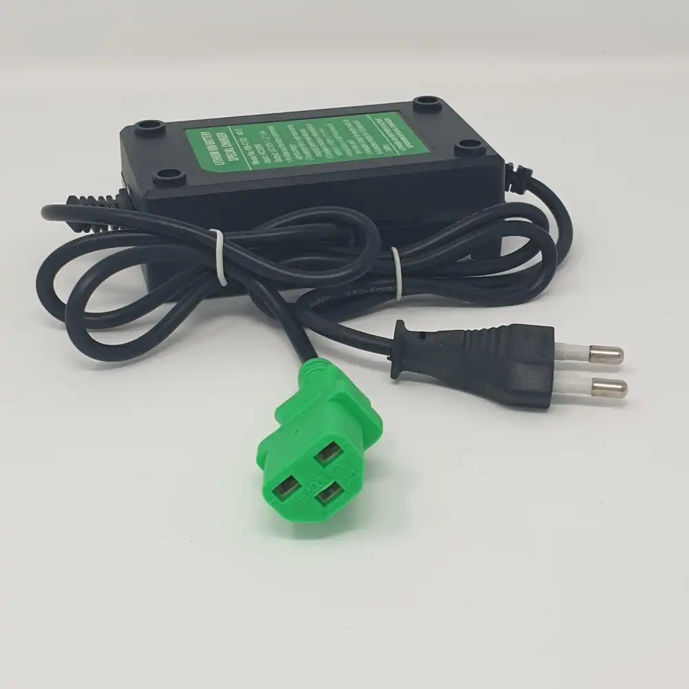 Caricatore Litio 12V 10A Per Batterie a Litio Pompe Irroratrici