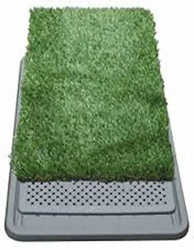 Lettiera Maxy Per Cucciolo Cane Erba WC Panno Assorbente Potty Cuccioli Casa