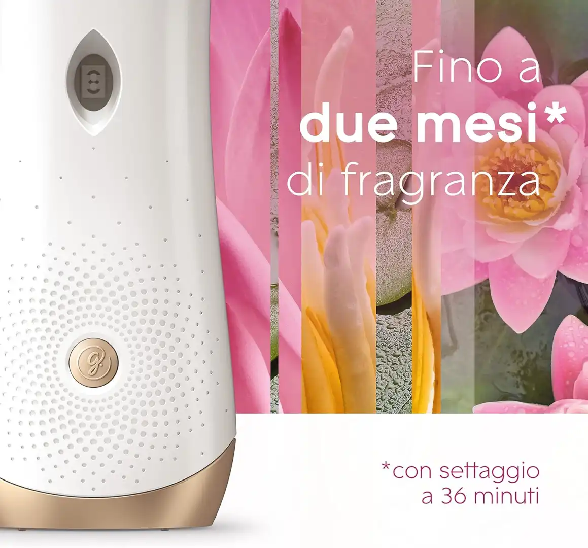 4 Ricariche Glade Automatic Spray Relaxing Zen 269ml Profumatore Ambienti