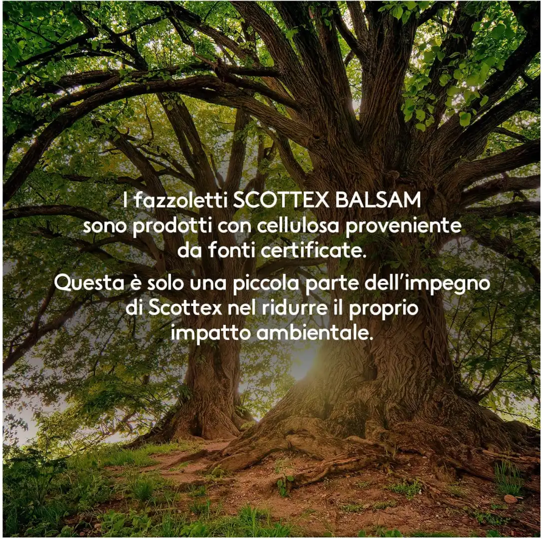 Scottex Balsam Fazzoletti di Carta, Prodotto in Italia, Certificato, 80 Pz 10x8