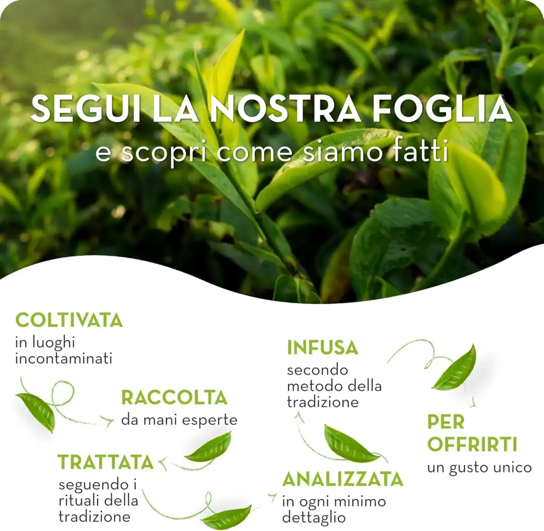 Estathé Pesca con Vero Infuso di Foglie di The e Succo di Pesca 72 x 200 ml