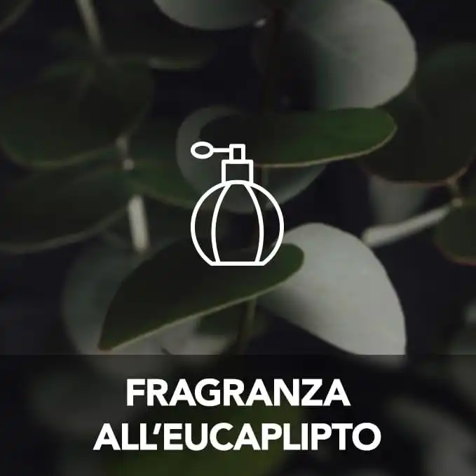 Raid Mosche e Zanzare Spray Eucalipto, 12 Pezzi da 400ml - Protezione Efficace