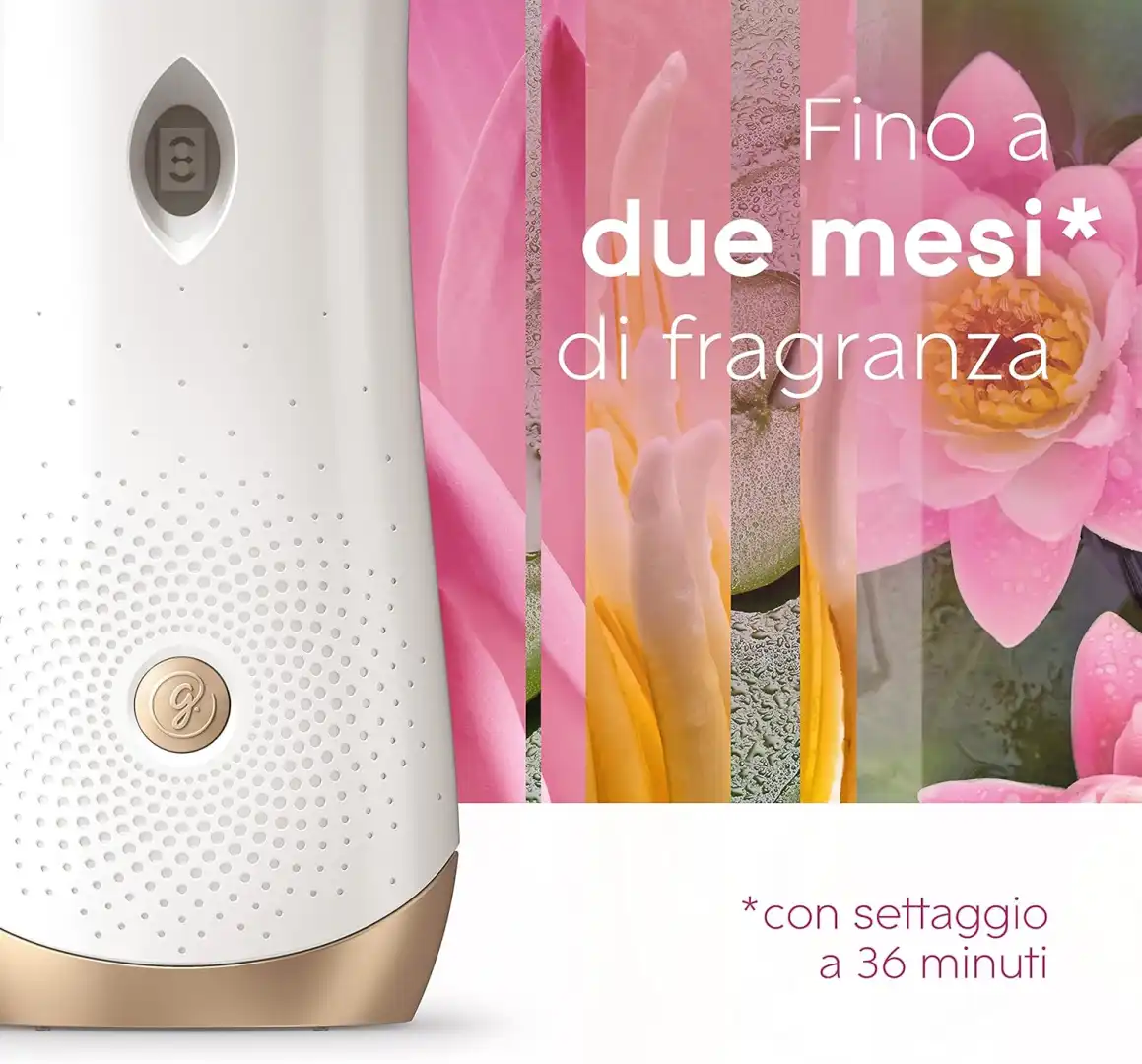 4x Glade Automatic Spray Profumatore per Ambienti Fragranza Relaxing Zen 4x269ml
