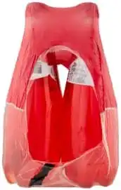 San Benedetto Zero Ginger 750 ml Zero Zuccheri Aggiunti 6 Bottiglie