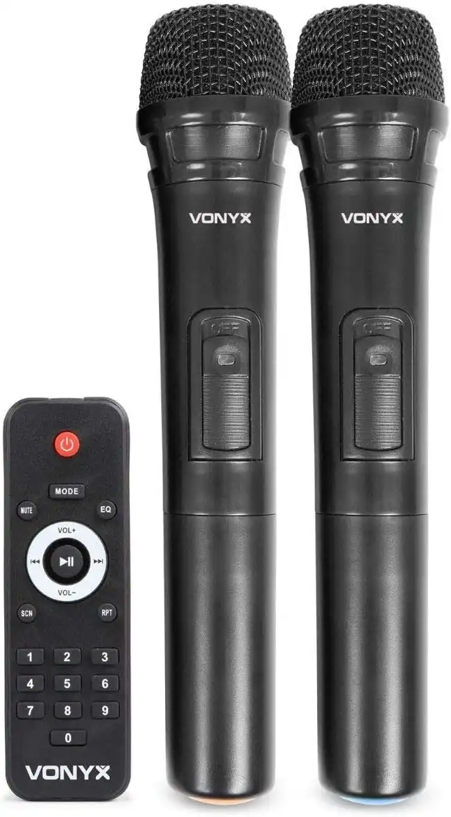 Cassa Altoparlante Portatile con 2 Microfoni Wireless UHF Professionale da 500W