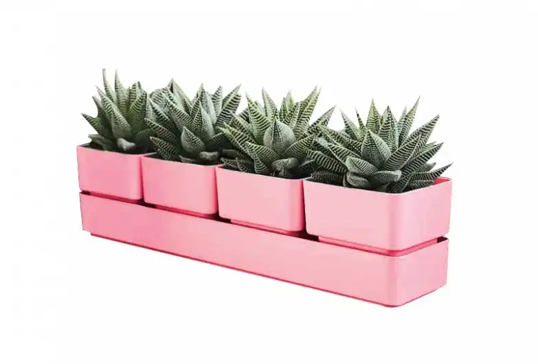 Fioriera Vaso Modello Sierra 38cm Corallo Elegante per Piccole Piante 4 Vasi