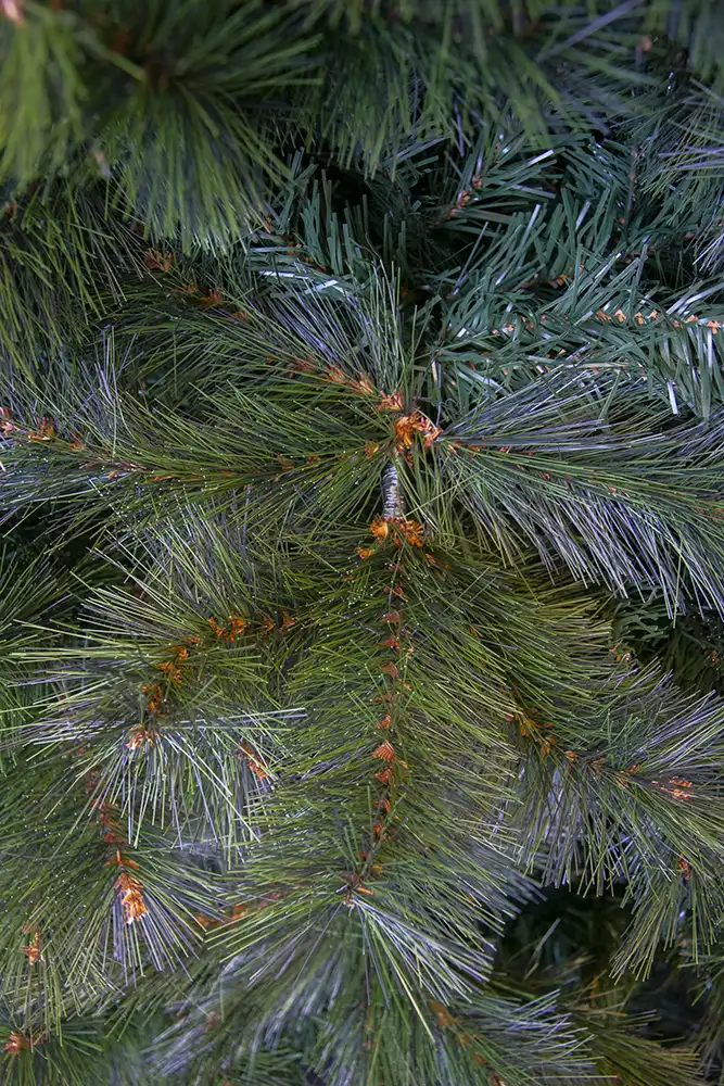 Albero di Natale Modello Himalaya Altezza 150 cm Con 734 Rami Folti e Ricchi