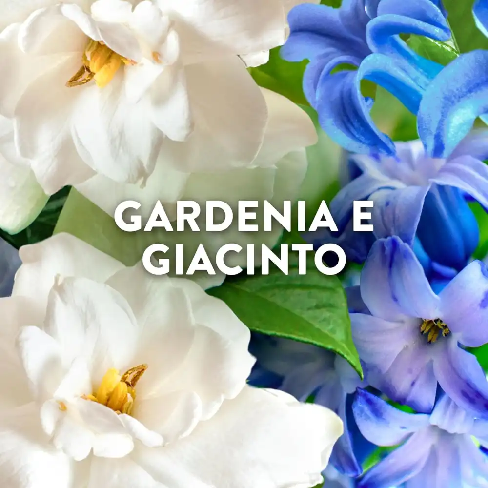 8x Lenor Ammorbidente Concentrato Capri 55 Lavaggi – Gardenia e Giacinto