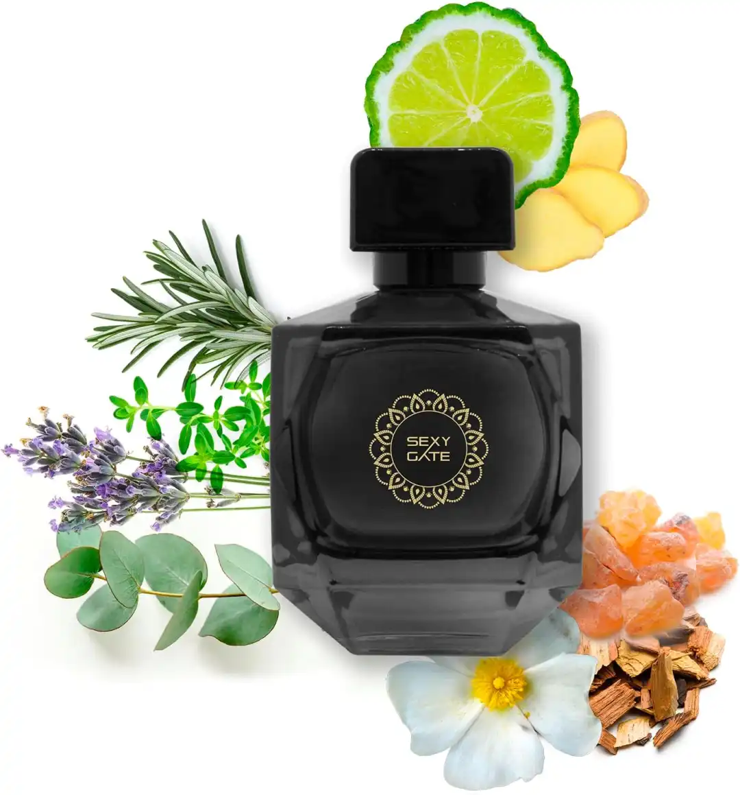 Diamond Sexy Gate Poseidone Eau de Parfum Uomo 100 ml con Feromoni e Carte Kama