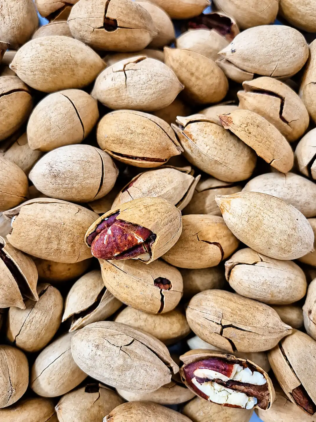 Noci Pecan In Guscio Al Caffè 1Kg Tostate Aromatizzate Snack Premium