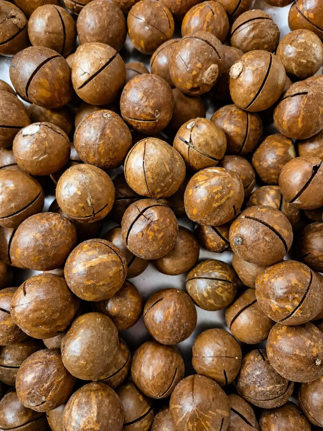 Noci Di Macadamia Tostate E Salate 1Kg Calibro 26/+ Con Aprinoci Inclusi Top