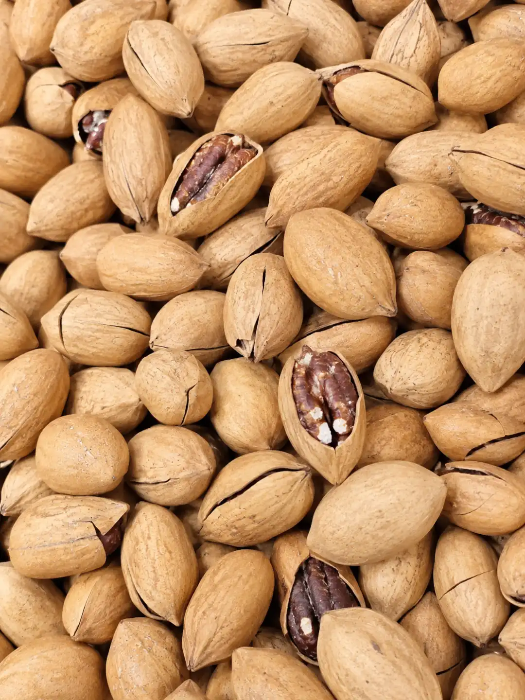 Noci Pecan In Guscio Tostate Origine Cina 1Kg Frutta Secca Croccante Naturale