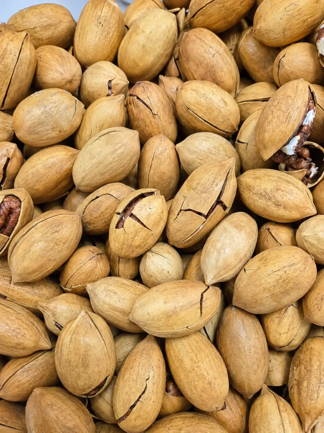 Noci Pecan In Guscio Tostate Origine Cina 1Kg Frutta Secca Croccante Naturale