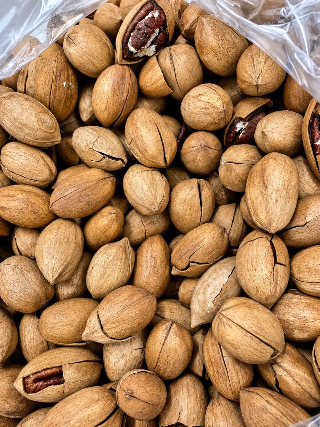 Noci Pecan In Guscio Tostate Origine Cina 1Kg Frutta Secca Croccante Naturale