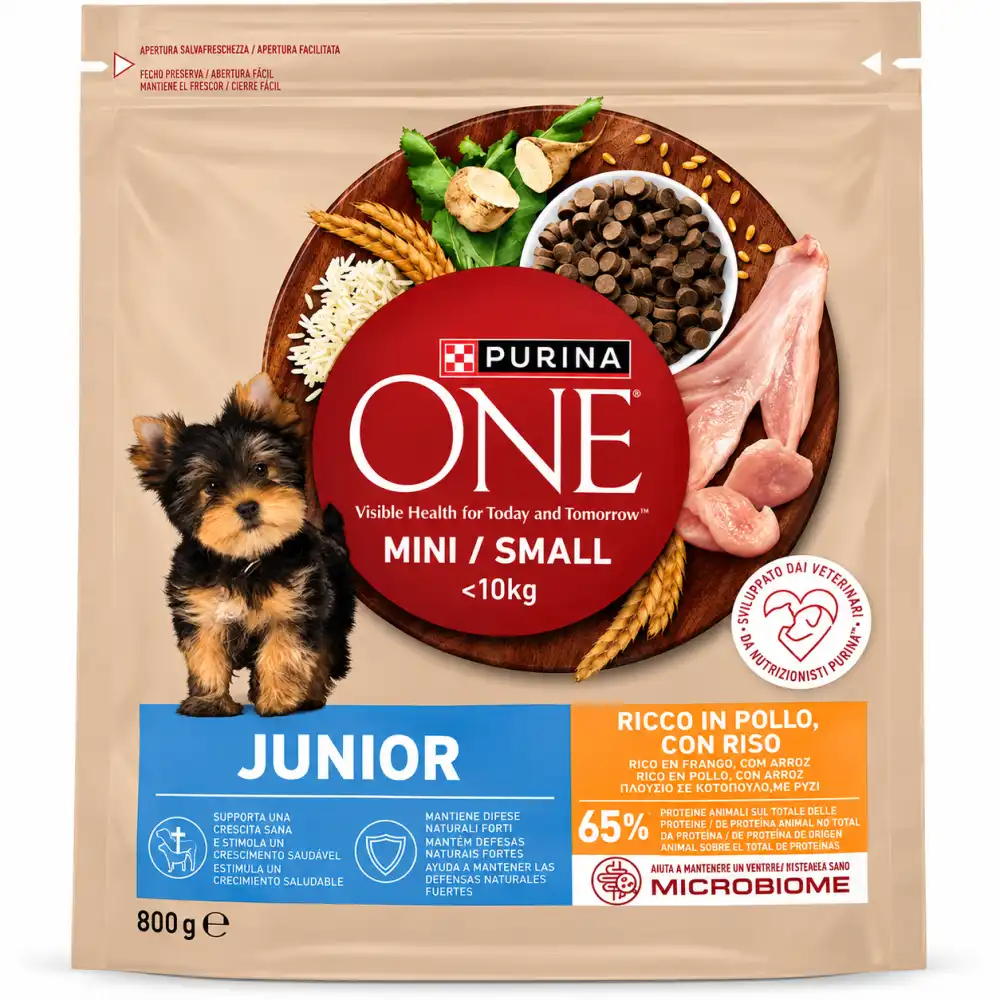 8 Pezzi Purina One Mini Small Junior Pollo Riso 800g Crocchette Cani 6,4Kg Puppy