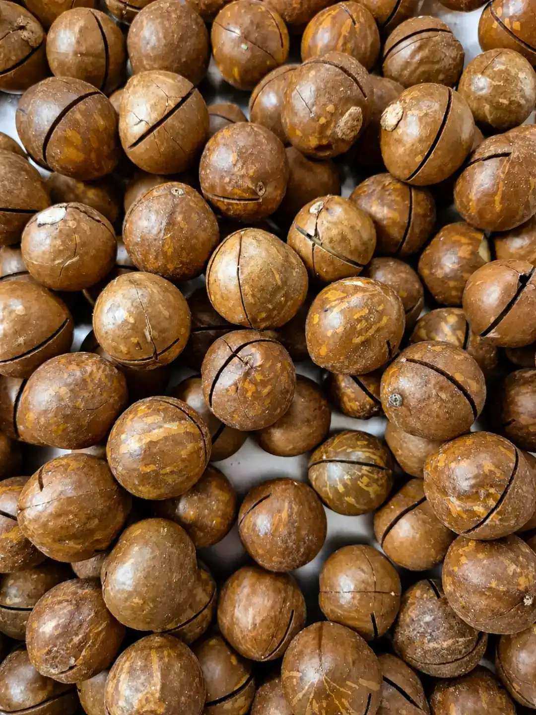 1 Kg Noci Macadamia in Guscio Gusto Limone Snack Frutta Secca Aromatizzata Extra