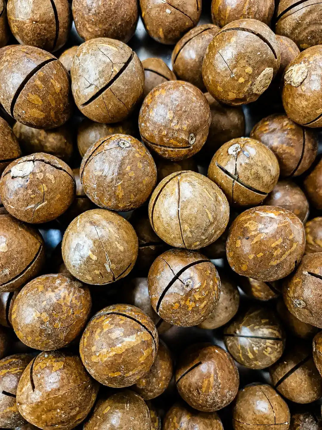 1 Kg Noci Macadamia in Guscio Gusto Limone Snack Frutta Secca Aromatizzata Extra