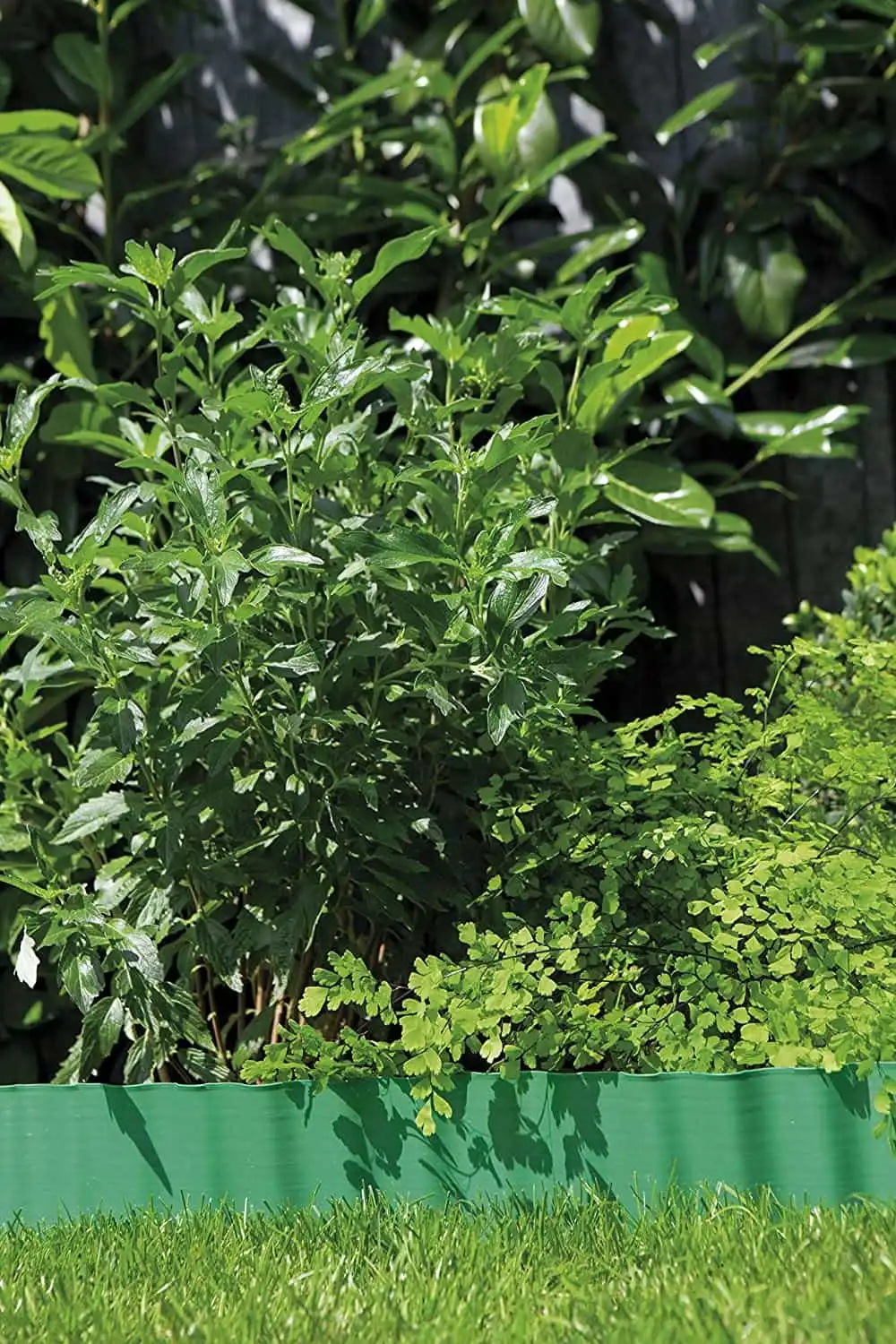 Recinzione Delimitazione per Prato in Plastica Verde Rotolo da 9 mt Altezza 9 cm