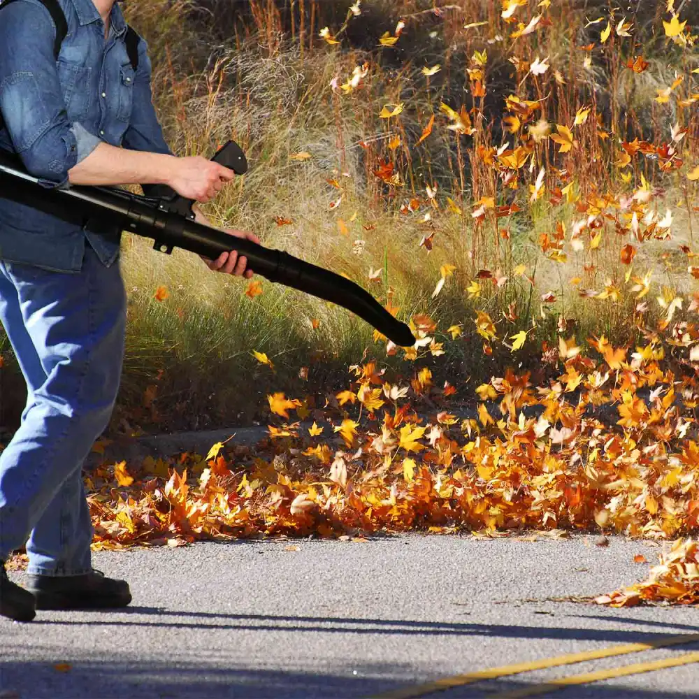 Soffiatore Motore a Scoppio 43 CC Per Foglie a Spalla Zaino 2 Tempi Peso 6Kg