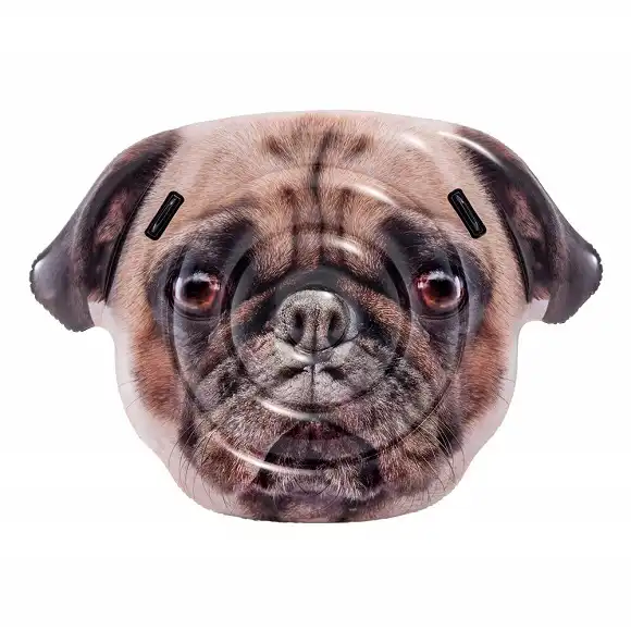 Materasso Materassino Gonfiabile Faccia di Cane Piscina Mare Spiaggia Intex