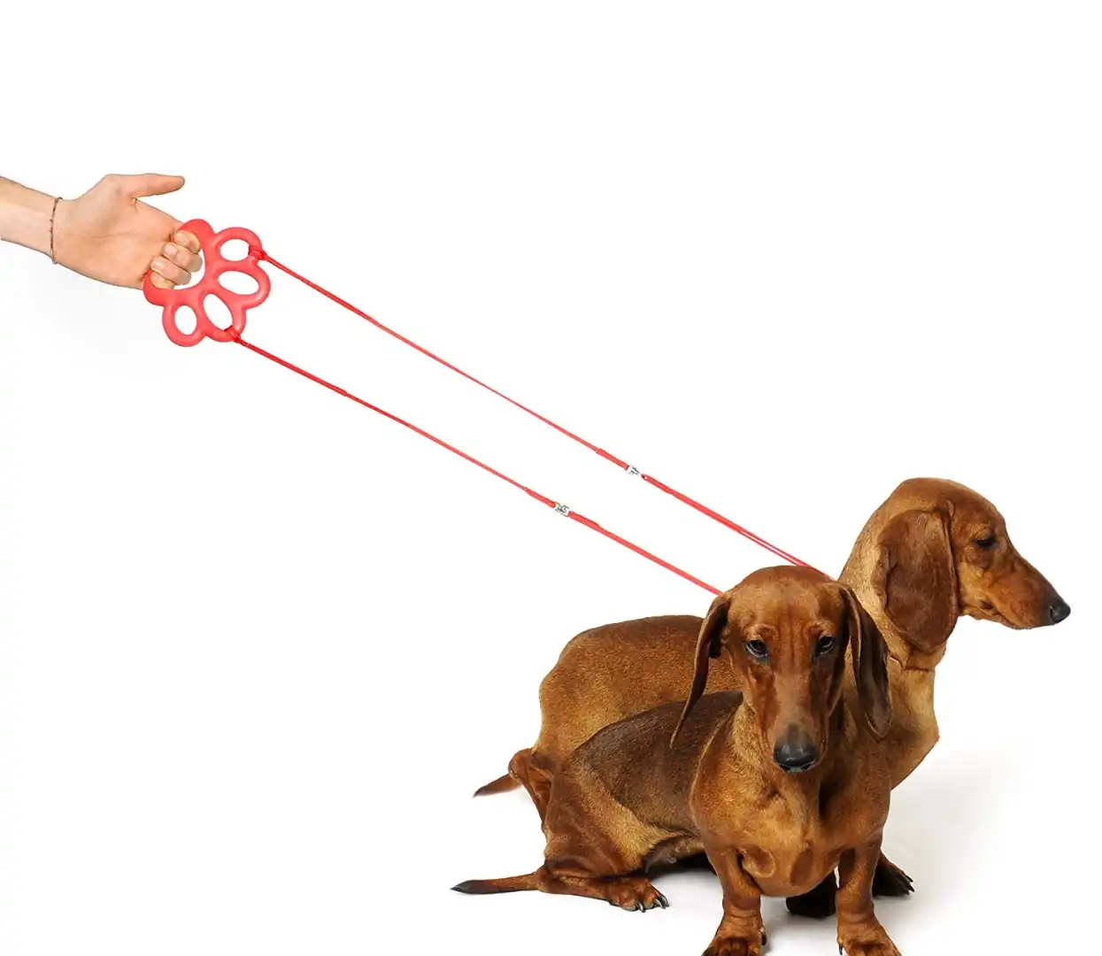 Gioco Per Cane Orma in Gomma Per Cani di Piccola e Media Taglia