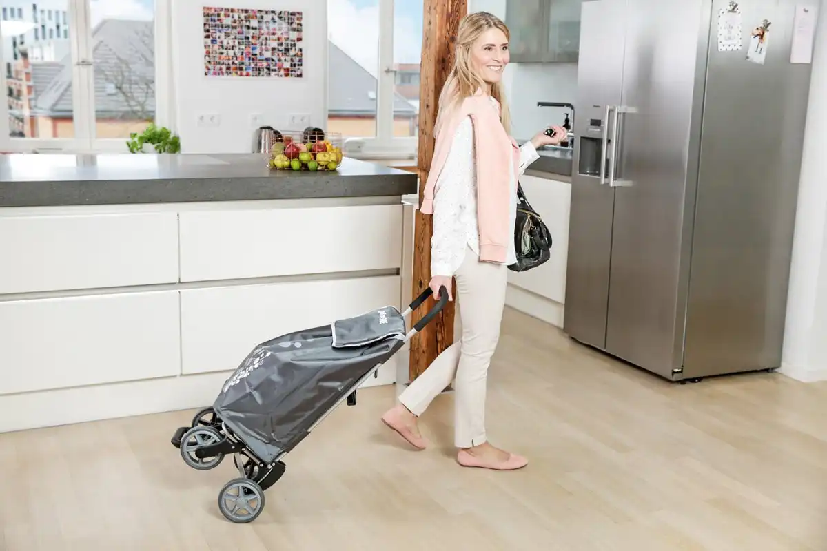 Gimi Twin Carrello Spesa Portaspesa 4 Ruote Grigio Versatile Telaio In Acciaio