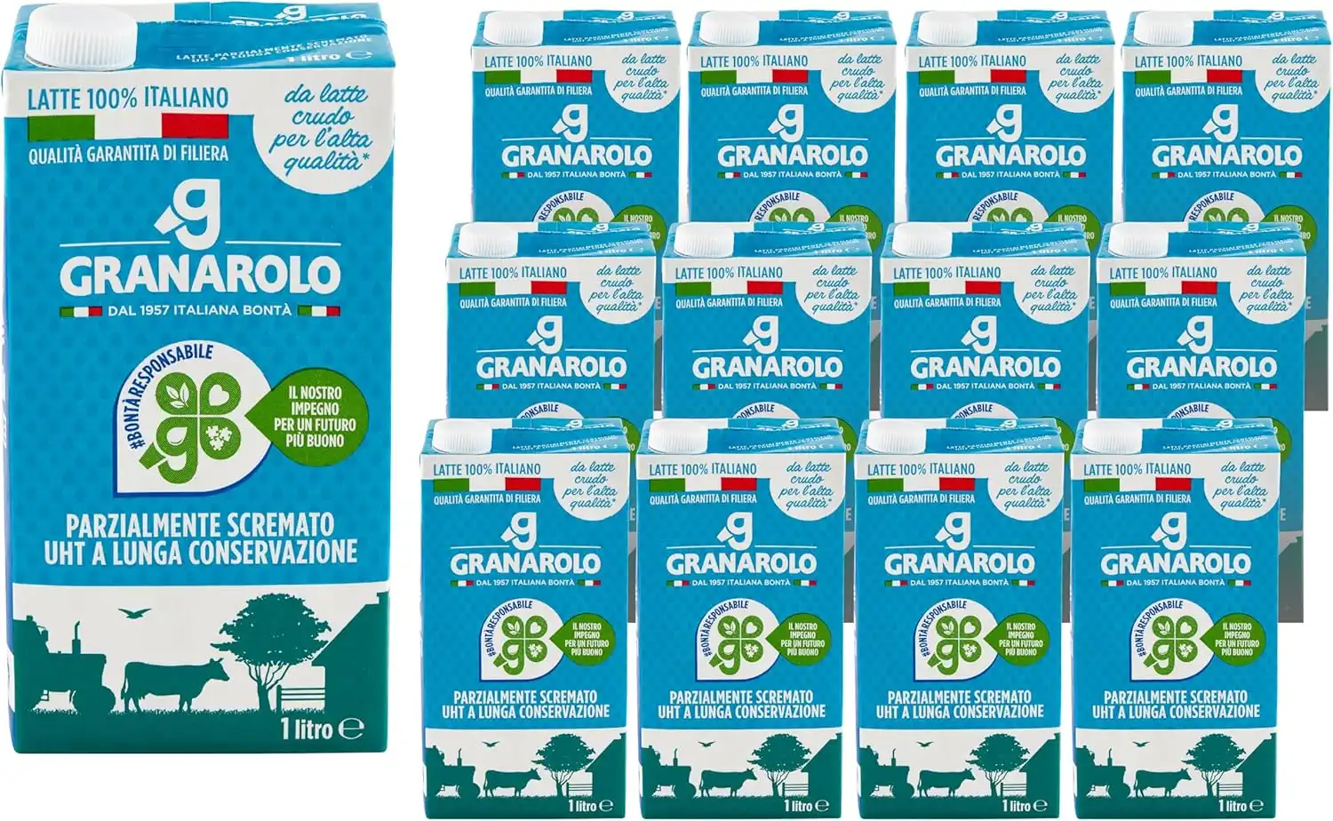 12x Granarolo Latte Parzialmente Scremato uht 12x1 Lt di Latte Italiano