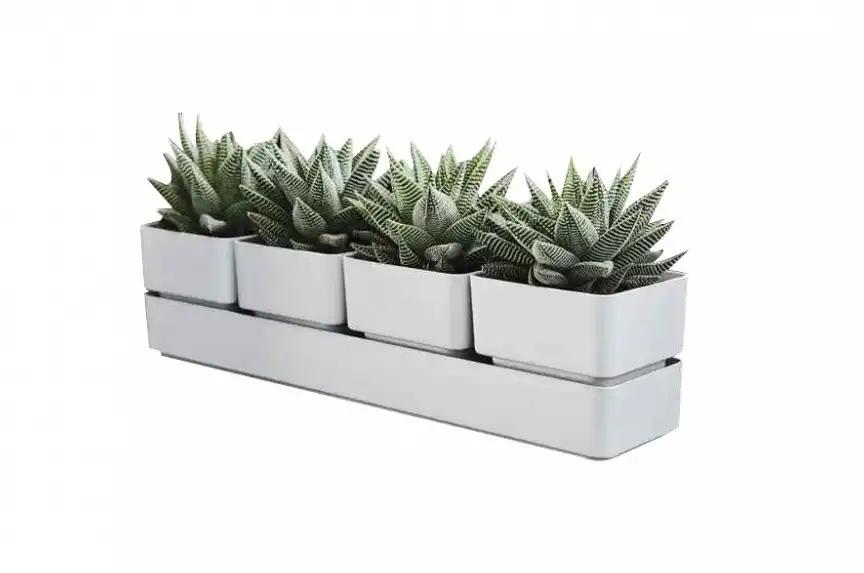 Fioriera Vaso Modello Sierra 38cm Color Snow Elegante per Piccole Piante 4 Vasi