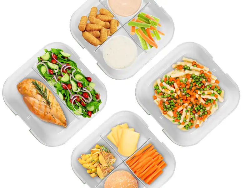 Box Portavivande Termico Elettrico Porta Pranzo Scaldavivande Auto Casa Posate