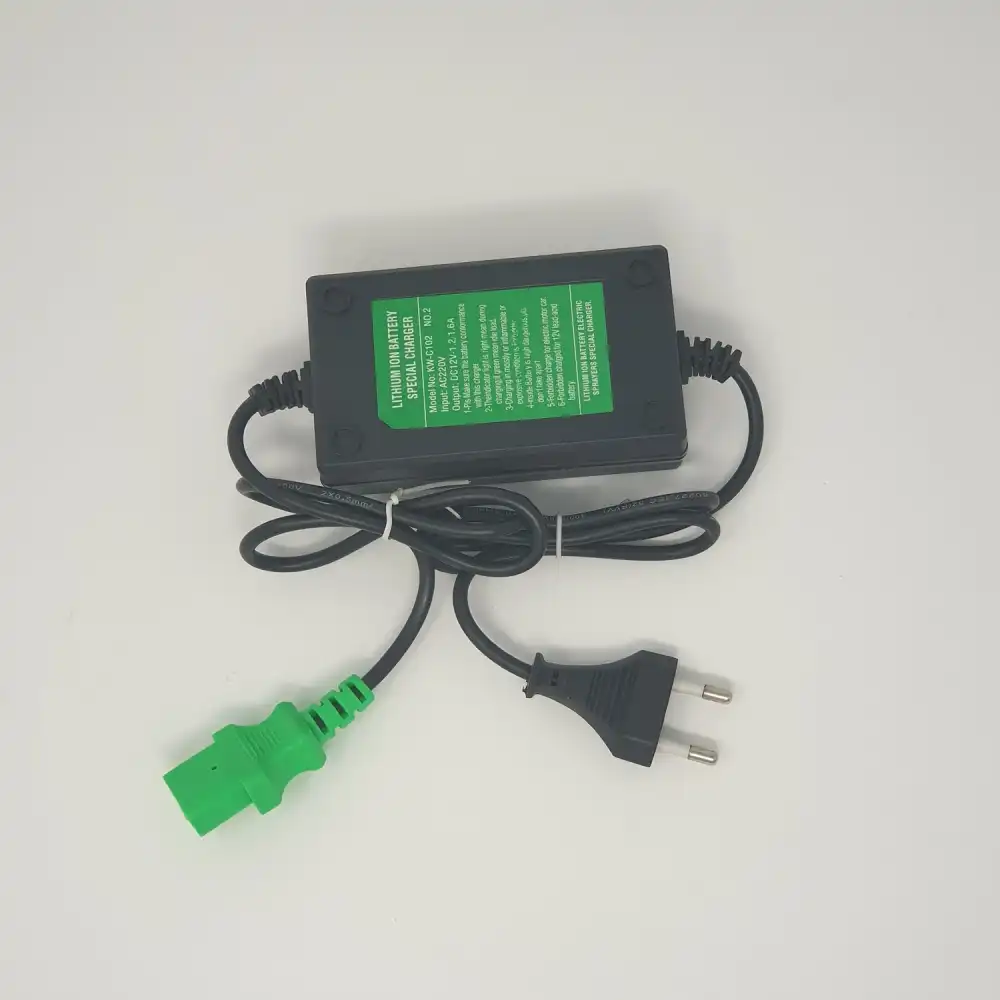 Caricatore Litio 12V 10A Per Batterie a Litio Pompe Irroratrici