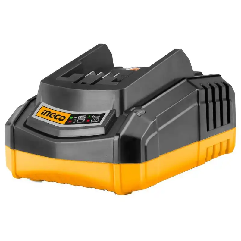 Caricabatterie Rapido 20V 110V-240V Caricatore Per Batteria al Litio
