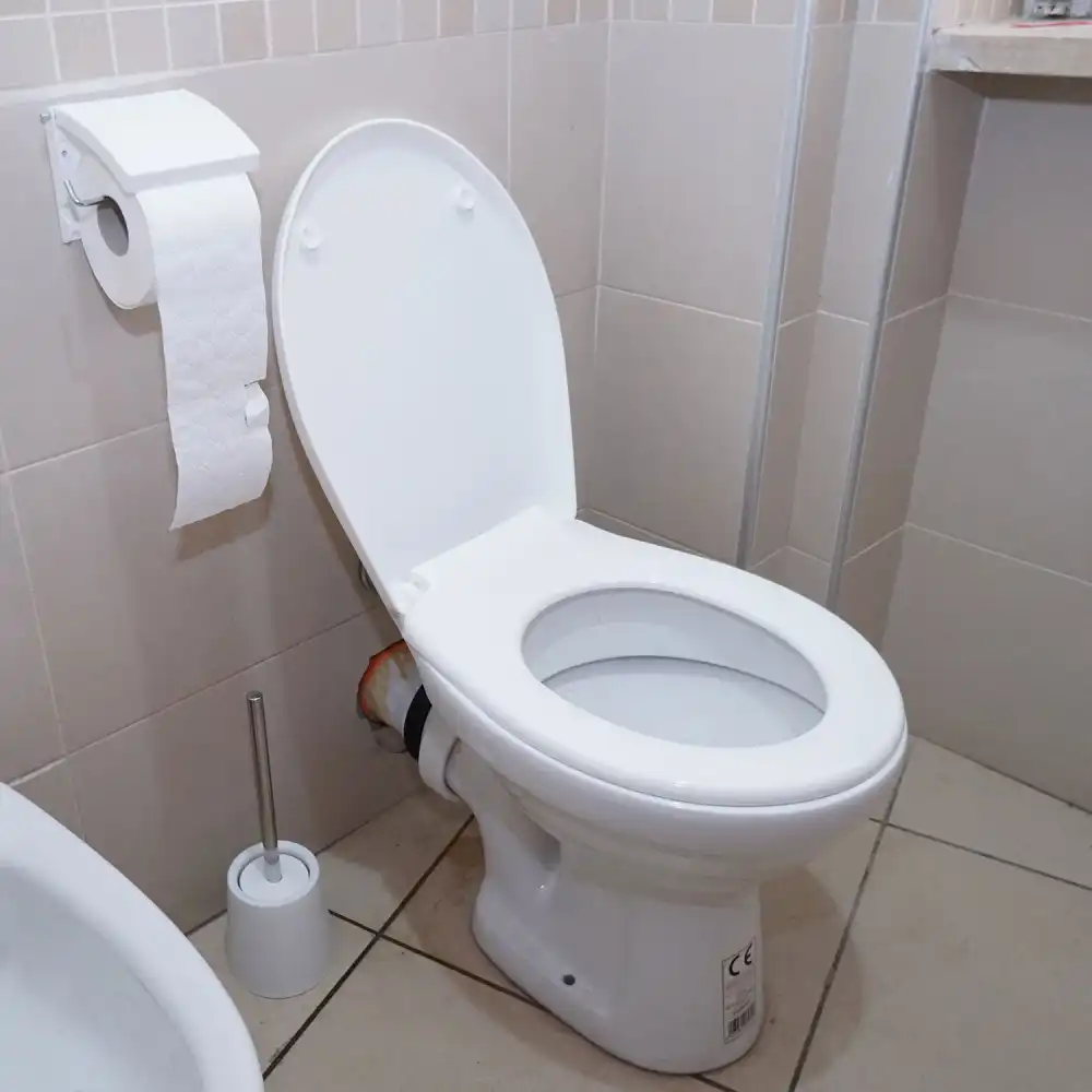 Kit WC Set 3 Pezzi Copriwater Universale Porta Scopino e Portarotolo Bianco