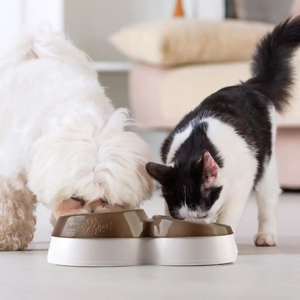 Doppia Ciotola Bama Per Cani e Gatti Ciotolotto Con Riserva Acqua In Vari Colori