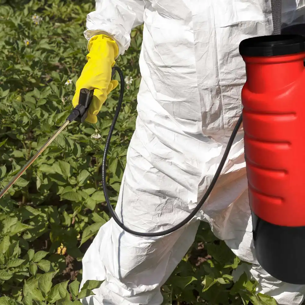 Ausonia Pompa a Spalla Zaino Serbatoio Da 16 Litri Batteria a Litio 12V 10Ah