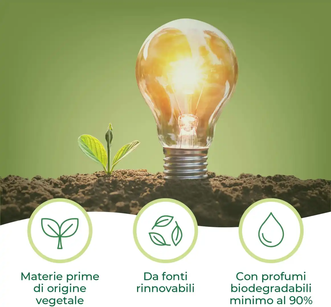 Set12pz di Winni's Detersivo Piatti Concentrato da 500ml Bergamotto e Aloe