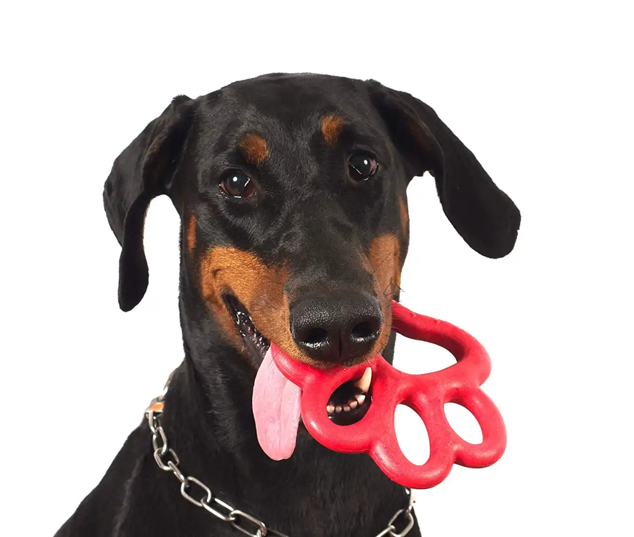 Gioco Per Cane Orma in Gomma Per Cani di Piccola e Media Taglia