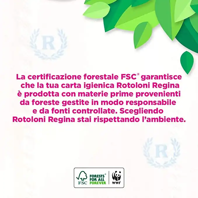 24 Maxi Rotoli Rotoloni Regina Carta Igienica 500 Strappi 2 Veli 61 Metri