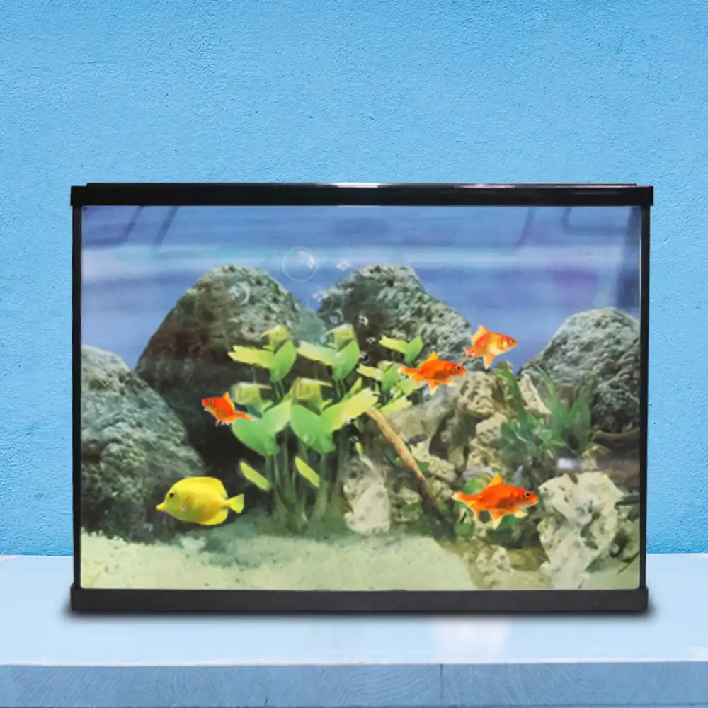 Acquario Completo Kit Con Filtro Pompa Vasca 18 Litri Pesci Sassolini 18LT