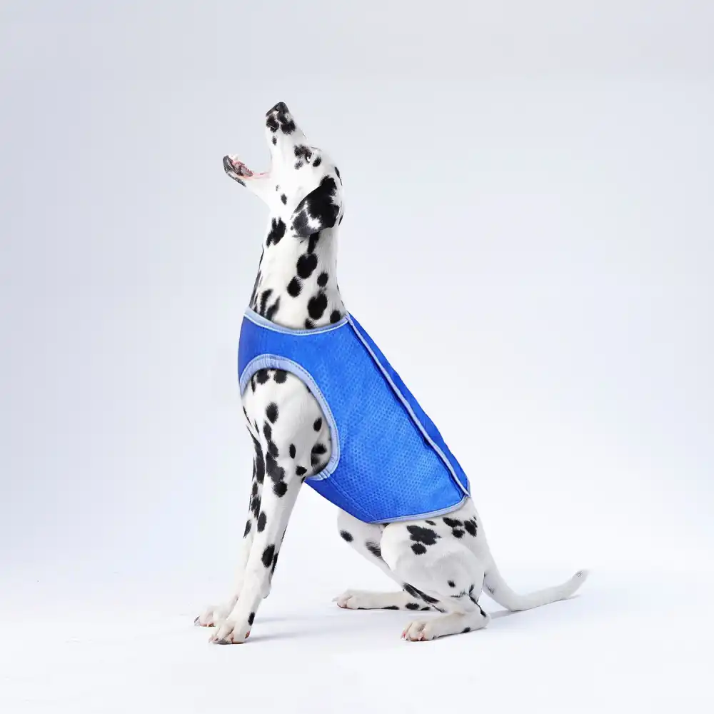 Abito Vestito Pettorina Rinfrescante Refrigerante Per Cane Taglia L Fino a 85 Cm