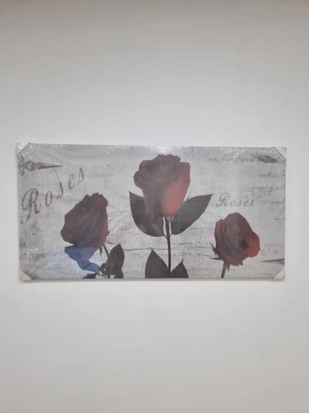 Lupia Quadro su Tela Canvas Deep 62x115 cm Roses Dipinto Made in Italy