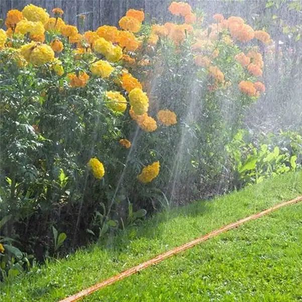 Tubo Piatto Microforato 15 Mt Irrigazione Giardino Piante Esterno con Connettore