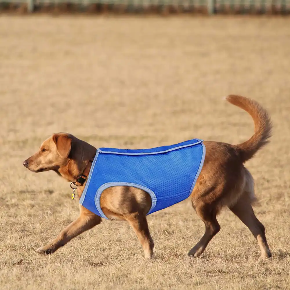 Abito Vestito Pettorina Rinfrescante Refrigerante Per Cane Taglia L Fino a 85 Cm