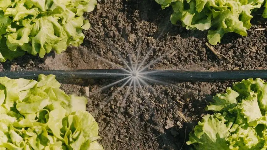 Gardena Set per Irrigazione a Goccia Fino a 60m Aiuola per Ortaggi e Fiori