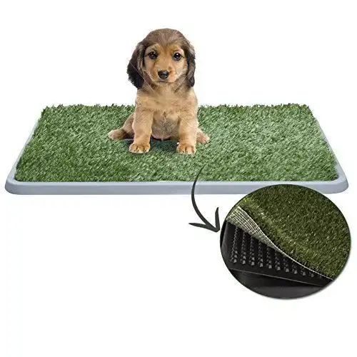 Lettiera Maxy Per Cucciolo Cane Erba WC Panno Assorbente Potty Cuccioli Casa