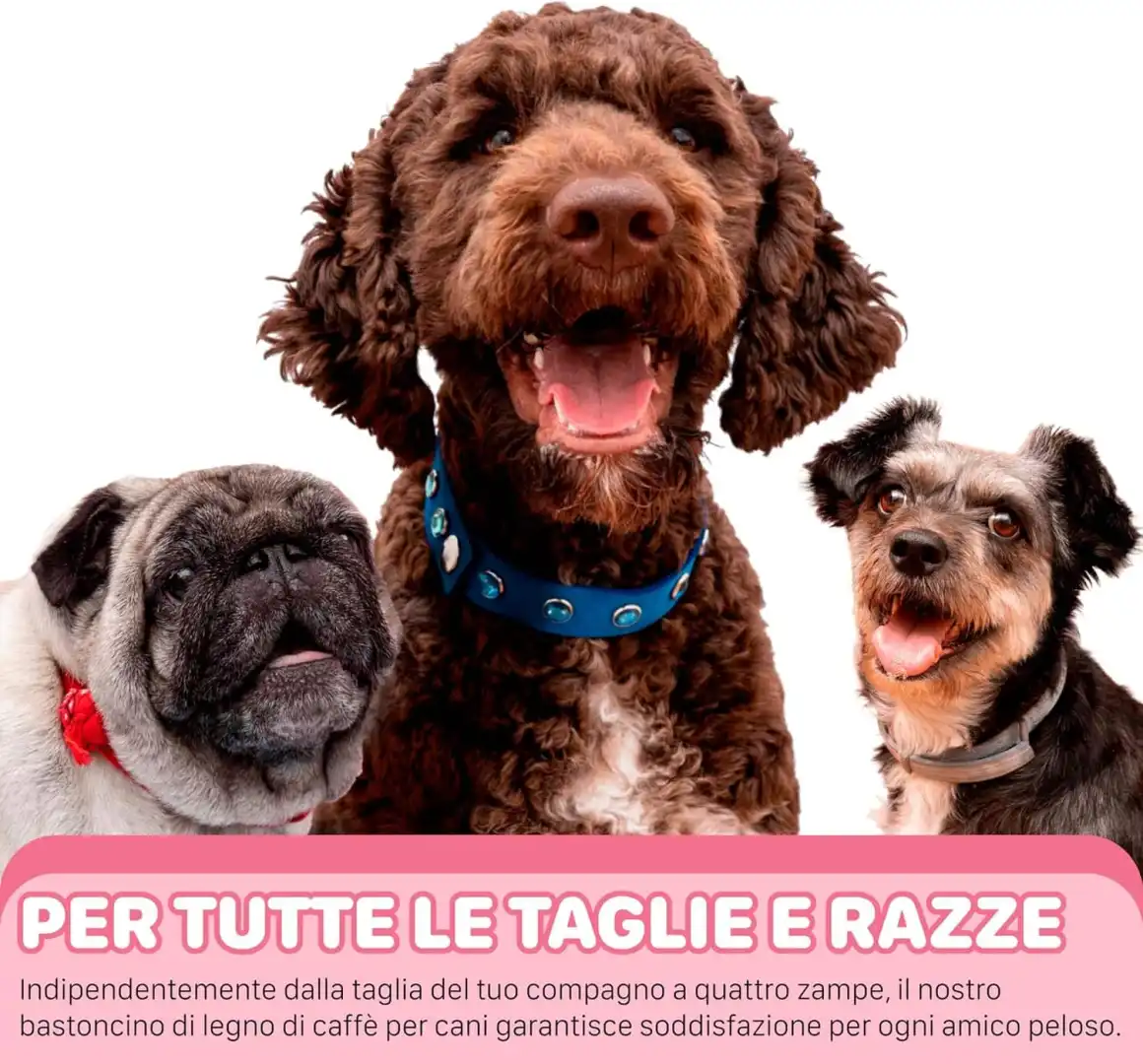 Legno di Caffe' per Cani Bastoncino Masticativo Naturale Taglia M 100 180 G