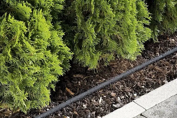 Tubo Poroso Gocciolante con Spruzzatore per Irrigazione Giardino Lungo 7.5 mt