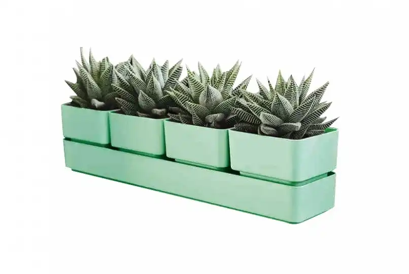 Fioriera Vaso Modello Sierra 38cm Color Olive Elegante per Piccole Piante 4 Vasi