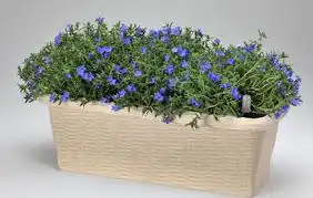 Bama Fioriera Rettangolare per Fiori PianteVaso Auto Irrigante Colore Legno