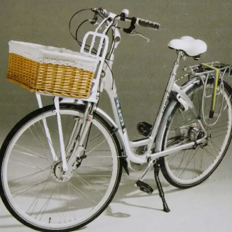 Portapacchi Anteriore Metallo Bicicletta Postino Faccino Ruota 24 e 28 Bianco
